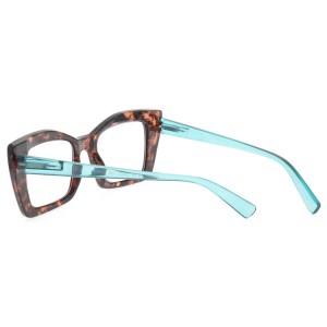 Plastic Reading Glasses